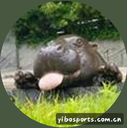 李娜