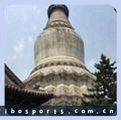刘洋